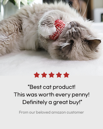 cat toys kitten toy catnip silvevine ball