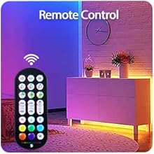 remote control