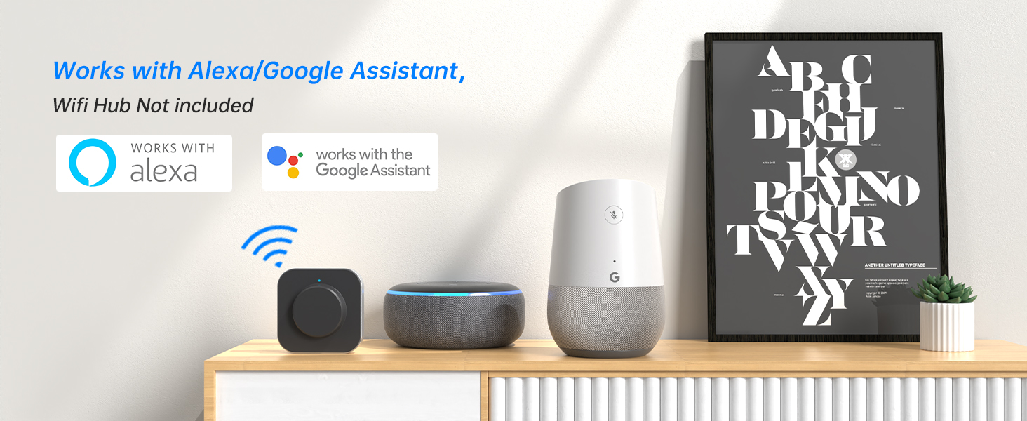 Alexa door lock