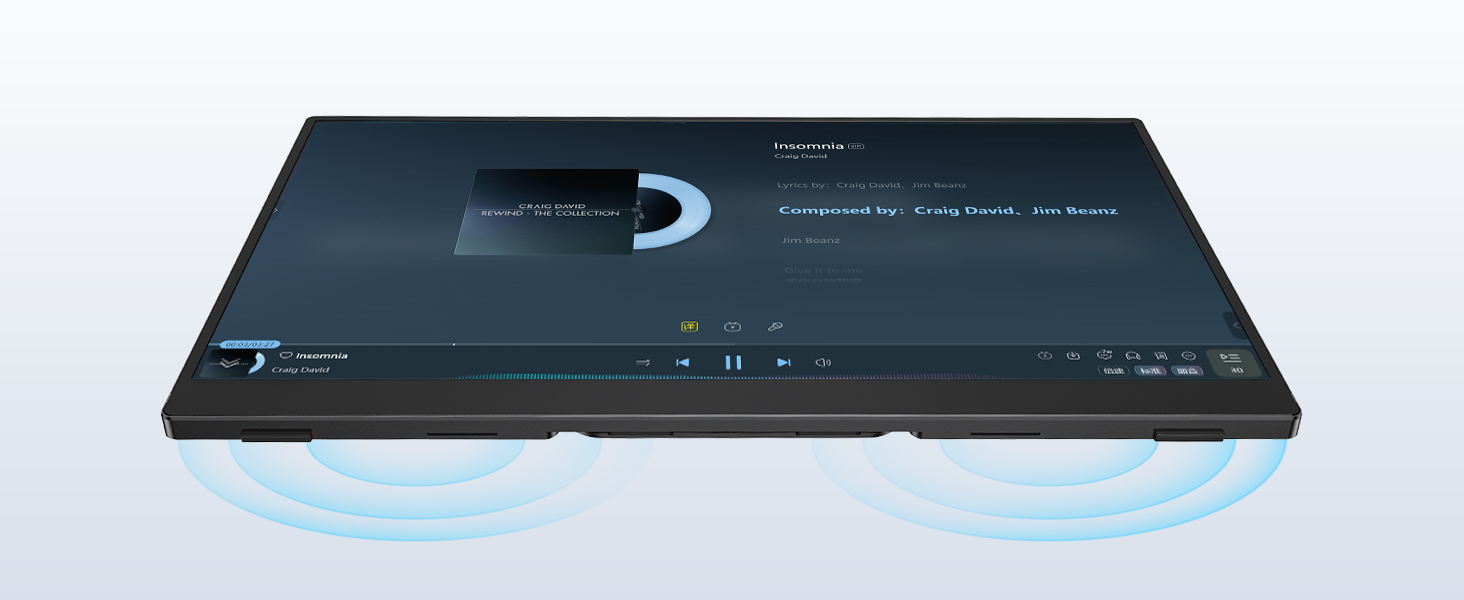 portable screen
