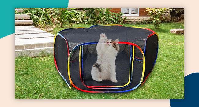Kiddzery Pet Tunnel