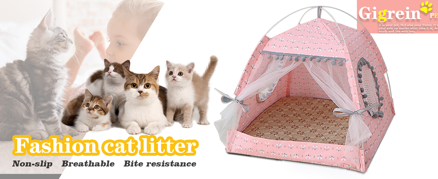 cat tent