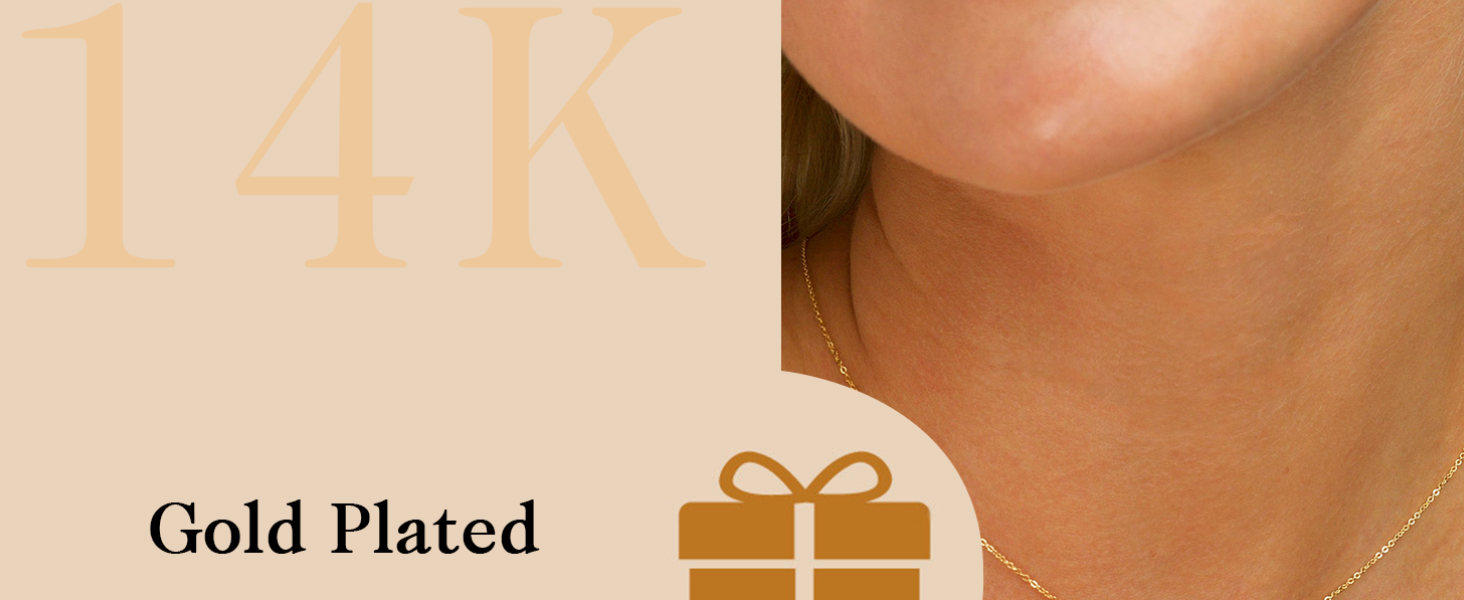 Dainty Necklace Jewelry