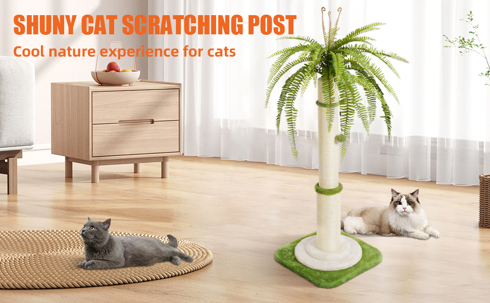 cat scratching post