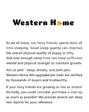 dog bed