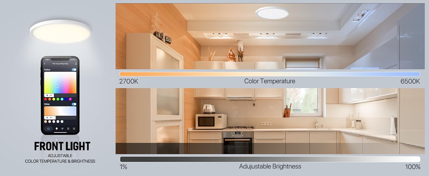 smart ceiling light