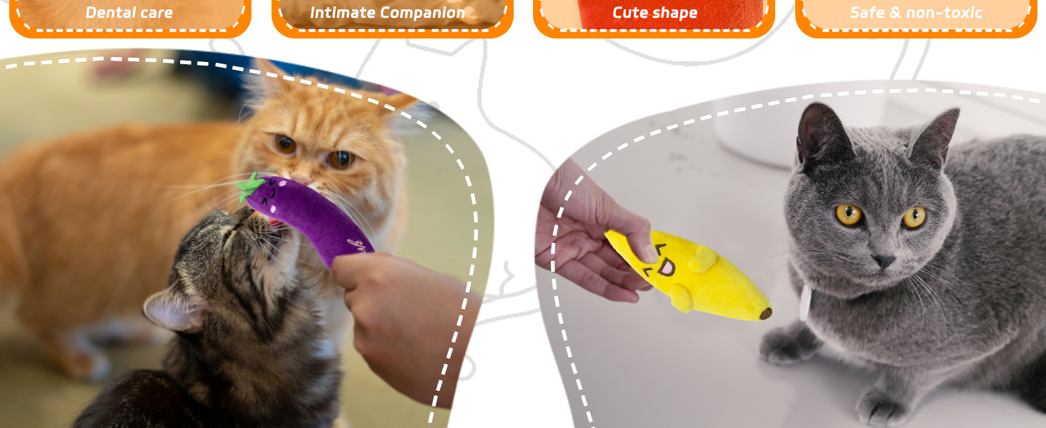 Cat Toys