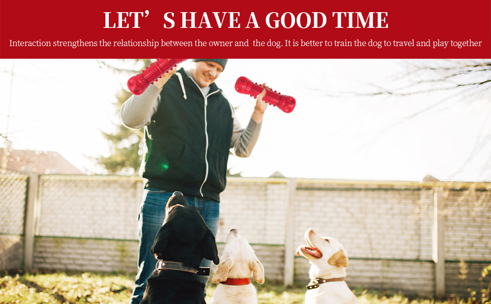 training dog toy