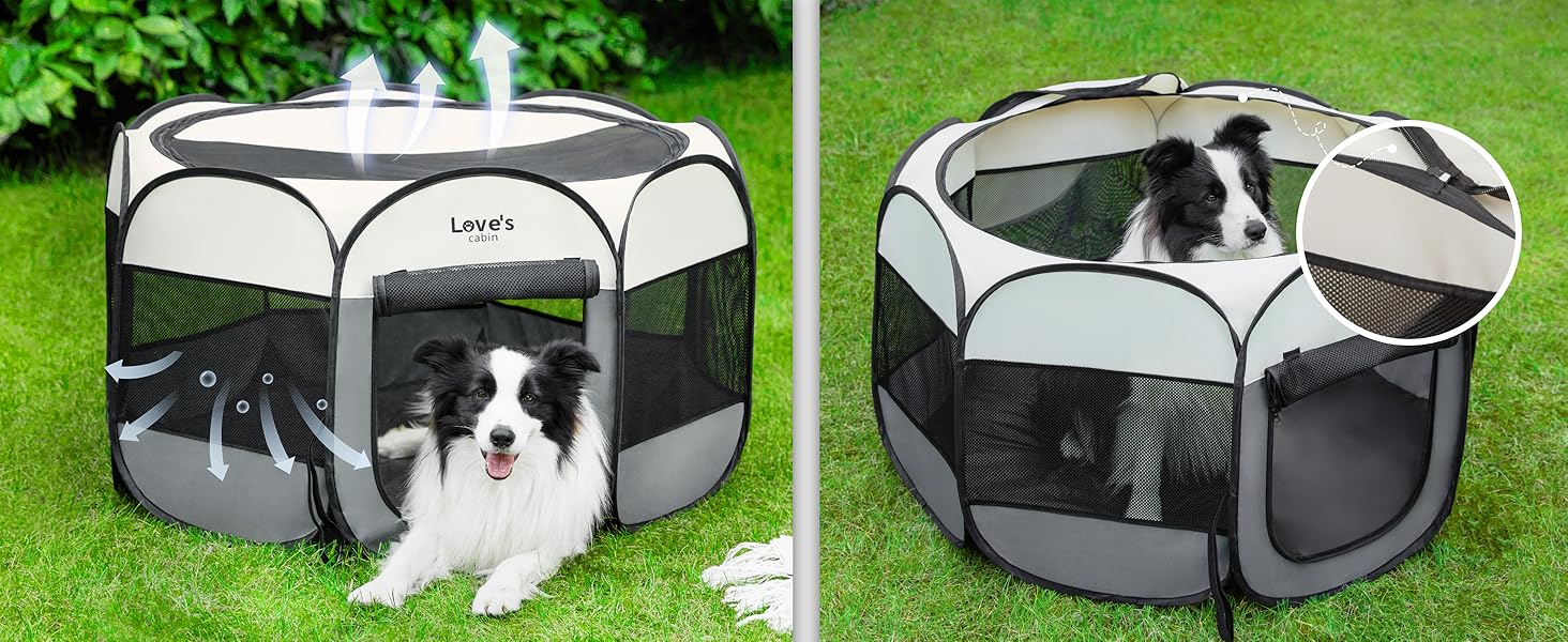 dog kennel