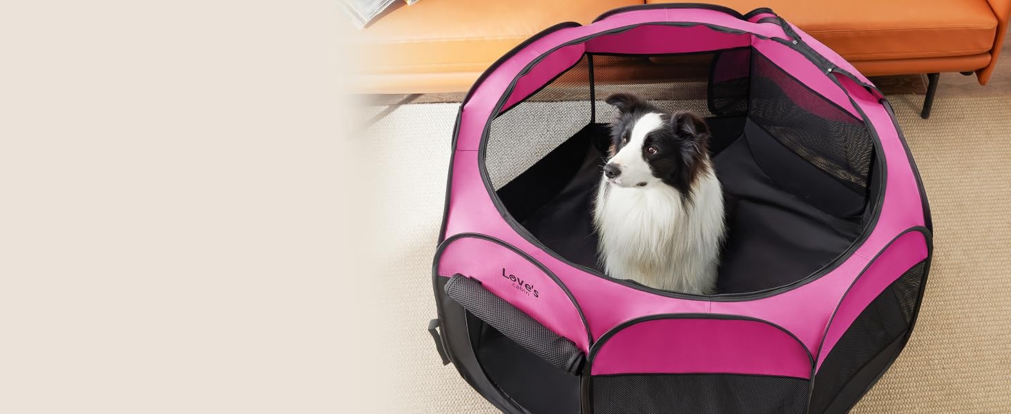 large dog bed