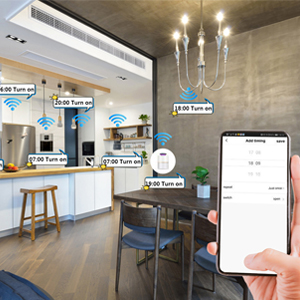 Smart timer plug