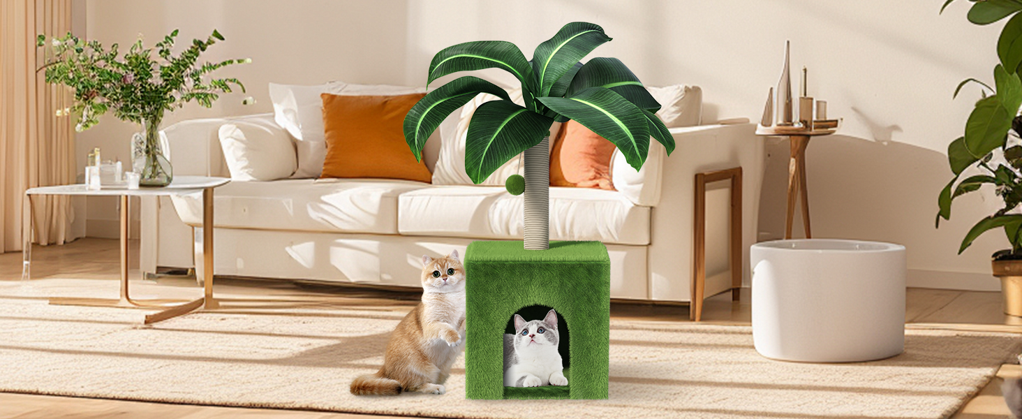 Cat Scratching Post