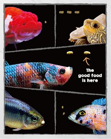 Ultra fresh fish food shrimp