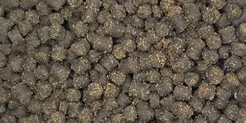 Frog Bites