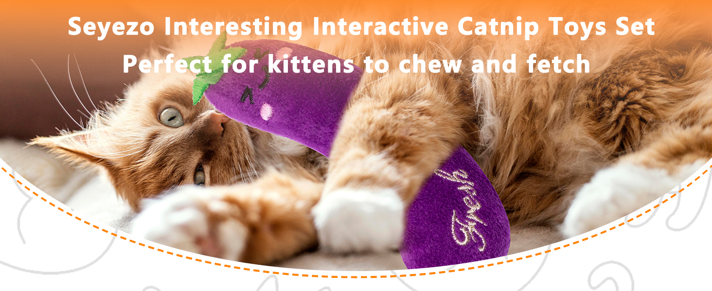 Cat Toys