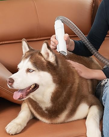 dog grooming vacuum