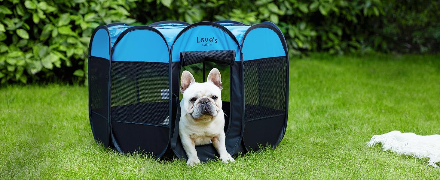 Blue dog bed