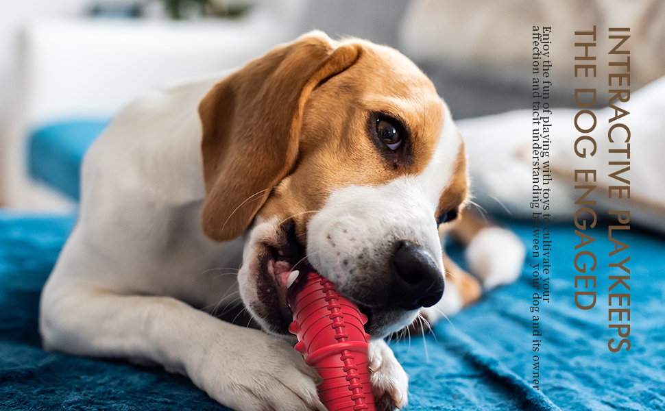 dog toys