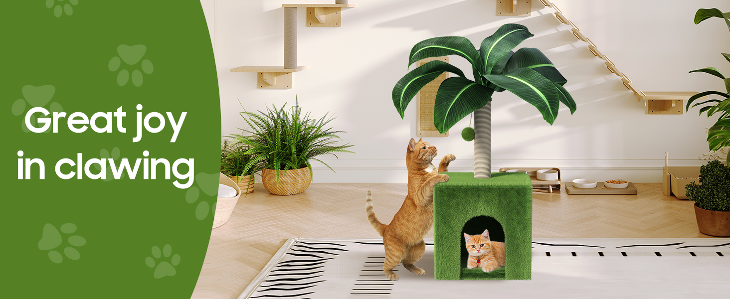 Cat Scratching Post