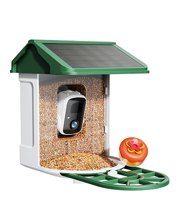 bird camera