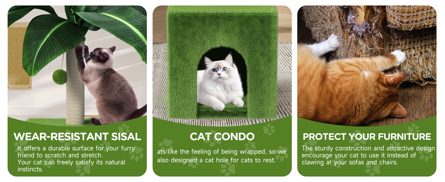 Cat Scratching Post