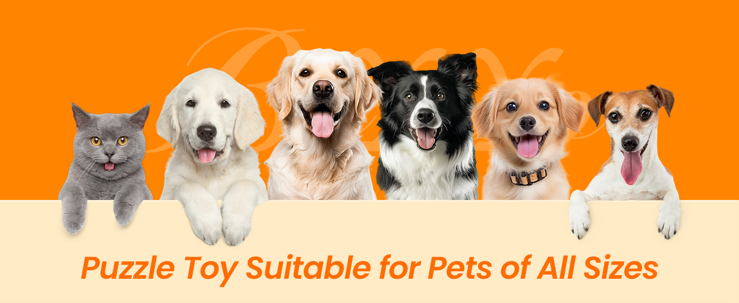 dog puzzle toy