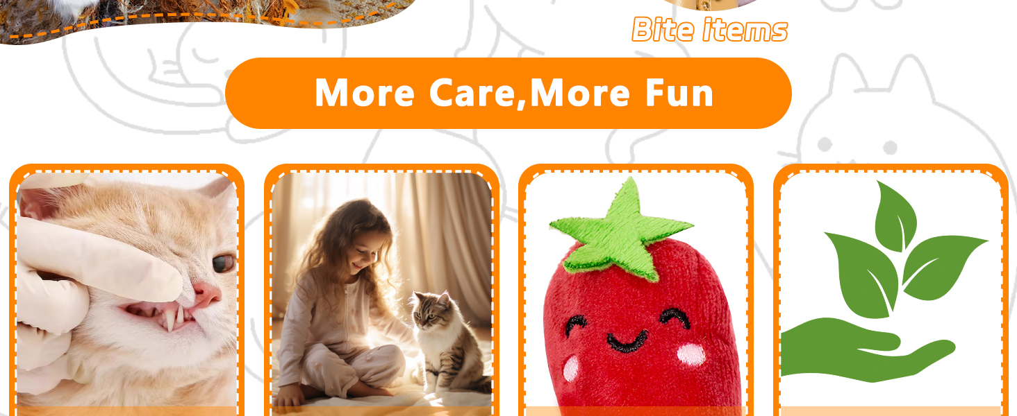 Cat Toys