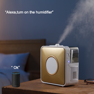 wifi smart plug voice control
